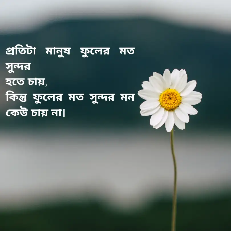 বাংলা শর্ট ক্যাপশন ফুল নিয়ে