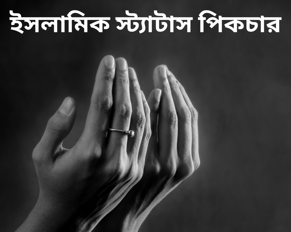 You are currently viewing 500+ সেরা ইসলামিক স্ট্যাটাস পিকচার